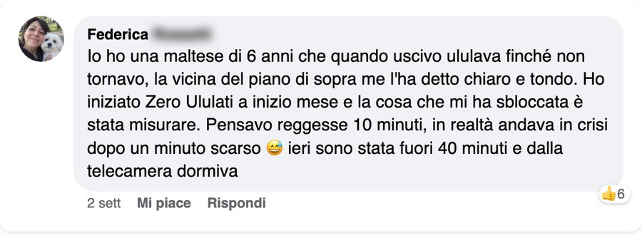 Il commento di Federica, maltese di 6 anni