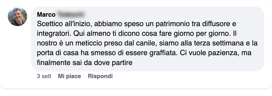 Il commento di Marco, meticcio preso dal canile