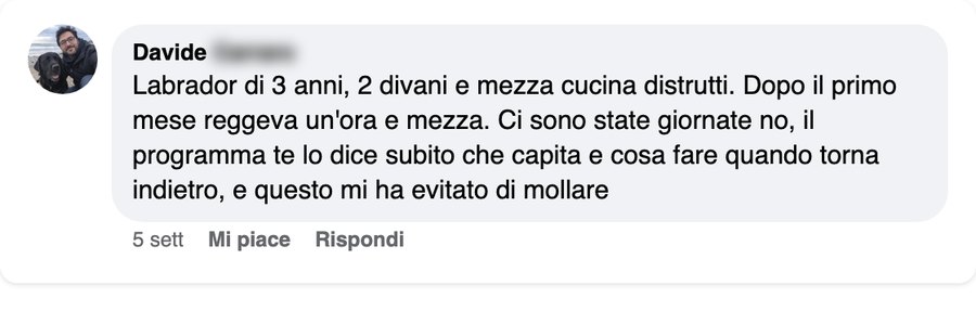 Il commento di Davide, labrador di 3 anni